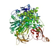 SUMO1 (Small Ubiquitin-Related Modifier 1) 150pg/ml-40ng/ml Assay Range ELISA Kit (Human, 96T,  Part hSUMO1ELISA-Biotin)